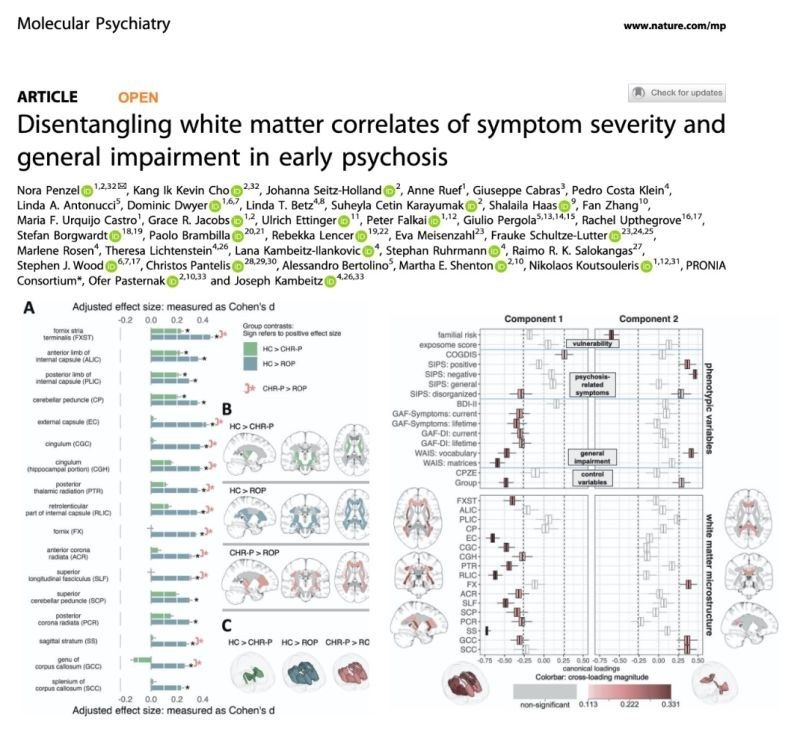First page of the article with the main figure showing two white-matter components and their associations with symptoms and impairment